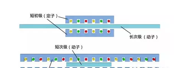 [直線電機(jī)的分類]有哪些類型的直線電機(jī)？其結(jié)構(gòu)如何？